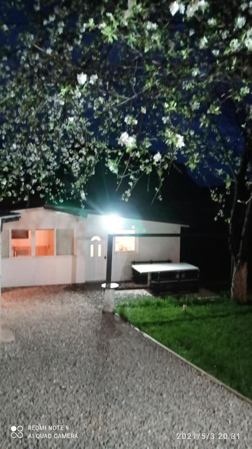 Ravne Apartman Високо Экстерьер фото